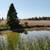ONLINE AUCTION - 22.87 Acres, Outbuildings & a Pond 10 thumbnail