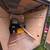 For Rent! - 5x8 Enclosed Cargo Trailer for Rent 5 thumbnail