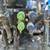 2018 New Holland Workmaster 50 4x4 Tractor 6 thumbnail
