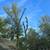 Tree removal and trimming, emergency service, pruning - Low $$ 1 thumbnail