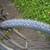 Bike BMX mountain trail road bicycle 5 thumbnail