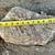 Large Landscaping Rocks 6 thumbnail
