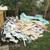 JUNK/TRASH/DEBRIS/HOT TUB/SHED REMOVAL/DEMO ⭐️⭐️⭐️⭐️⭐️ 10 thumbnail