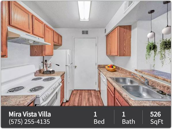 $607 / 1br - 526ft2 - The prime location you've been waiting for! Beautiful 1 bed, 1 bath! (Las Cruces)63687913728131120