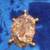 Copper/Brass turtle 2 thumbnail