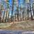 Lot 94, 2.29 acres on a quiet cul-de-sac! 8 thumbnail