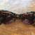 Carven - Women's Sunglasses - excellent 3 thumbnail