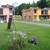 Charming 2 levels Apt. Exclusive Condo. Antigua G. $700.0 4 thumbnail