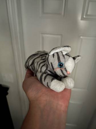Found a grey and white stuffed kitty at Christopher playground 10/13 (San Francisco)64141748121987120