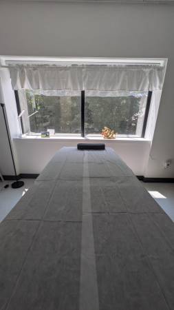 $800 / 168ft2 - Sala de terapia de masajes en una clínica de acupuntura (Watertown)63828406401793121