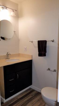 $1,550 / 500ft2 - $1,550 - Spacious Studio in the treetops of Forestville! (russian river)63785477286017124