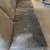DOUBLE CLEANING PROCESS carpet clean cleaner 7 thumbnail