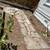 Landscaping and maintenance services (SONOMA COUNTY) 13 thumbnail