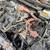 Mobile automotive  mechanic come you're home and office 21 thumbnail