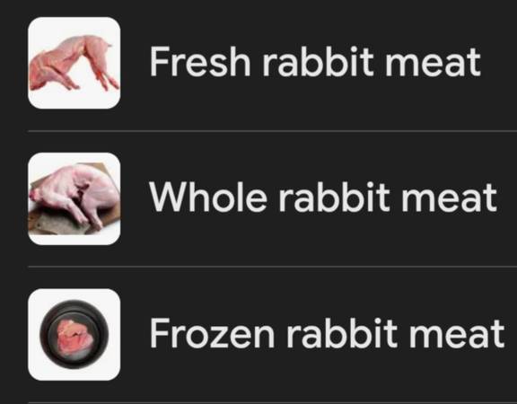 Rabbit 1