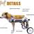 *LetPetRun* Sz2 - Pet Wheelchair,  Adjustable, Lightweight 10 thumbnail
