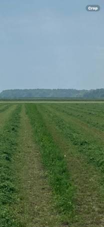 4th Cut Alfalfa Big Bales 1