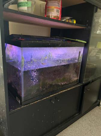 Aquarium Fish Tank 1