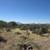 1.5 Acre of Vacant Land – Your Land, Your Future! 2 thumbnail