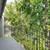 Beautiful 2 bed / 1 bath in a great neighborhood! Ready to view now! 11 thumbnail