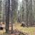 3 acre lot on Harmonica Drive 1 thumbnail
