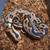 Ball Python Collection 7 thumbnail