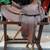 Used Saddle, Bridle, Bit, Reins, & Saddle Stand 6 thumbnail