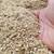 Poultry/livestock feed & grains 6 thumbnail