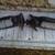 acura integra da parts 90-93 14 thumbnail