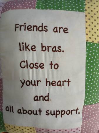 Friends are Like Bras ~ Pillow 1