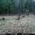2025 - Hunting Lease on LAKE 7 thumbnail