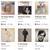 80+ Vintage Vinyl records 5 thumbnail