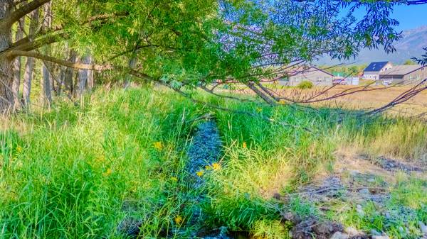 $429,000 3+ Acre Stevensville Building Lot (NHN Mystic River Road)63656975630977123