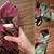 AUTHENTIC 70’s TIES for CRAFTS 3 thumbnail