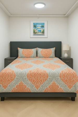 $735 / 1br - 1048ft2 - Sunny, Bright Room in 2BR, Montrose L Stop (Williamsburg)63870971230209120