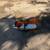Stihl Demo Saw 3 thumbnail