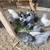 Easter Eggers! Highlandville or meet today in Nixa or Springfield 2 thumbnail