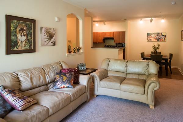 $1,450 / 2br - 1250ft2 - 2/2 UNFURNISHED condo in Seasons of Biltmore Lake (E. Candler/W. Asheville)64029210066947120