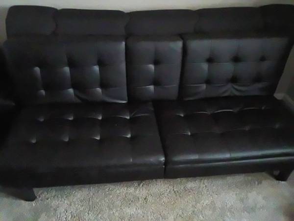 Sleeper Sofa 1