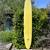 11’6 glider surfboard 1 thumbnail