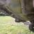 1999 chevy short box rust free and a ex cab 7 thumbnail