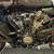 2022 Harley Davidson Pan America Special RA1250S 17 thumbnail