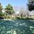 7912 Northlake Pkwy 4 thumbnail
