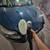 Car Detailing Services 10 thumbnail