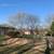 🌳Great Impression Tree Services 🌳 22 thumbnail