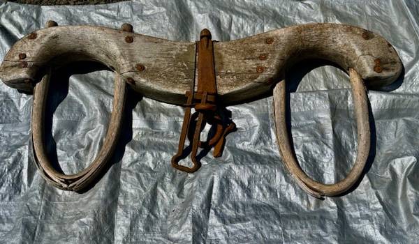 Double Oxen Yoke 1