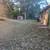 PRO Handyman & Lawn Care, LLC. 4 thumbnail