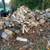 Fwood....Firewood  READY TO BURN . seasoned split .... mostly oak ash 9 thumbnail