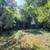 Arlington house main level. bike trails/Walk 2 restaurants/EFC Metro! 16 thumbnail
