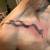 Tattoo Art Work Apprentice Prices 15 thumbnail
